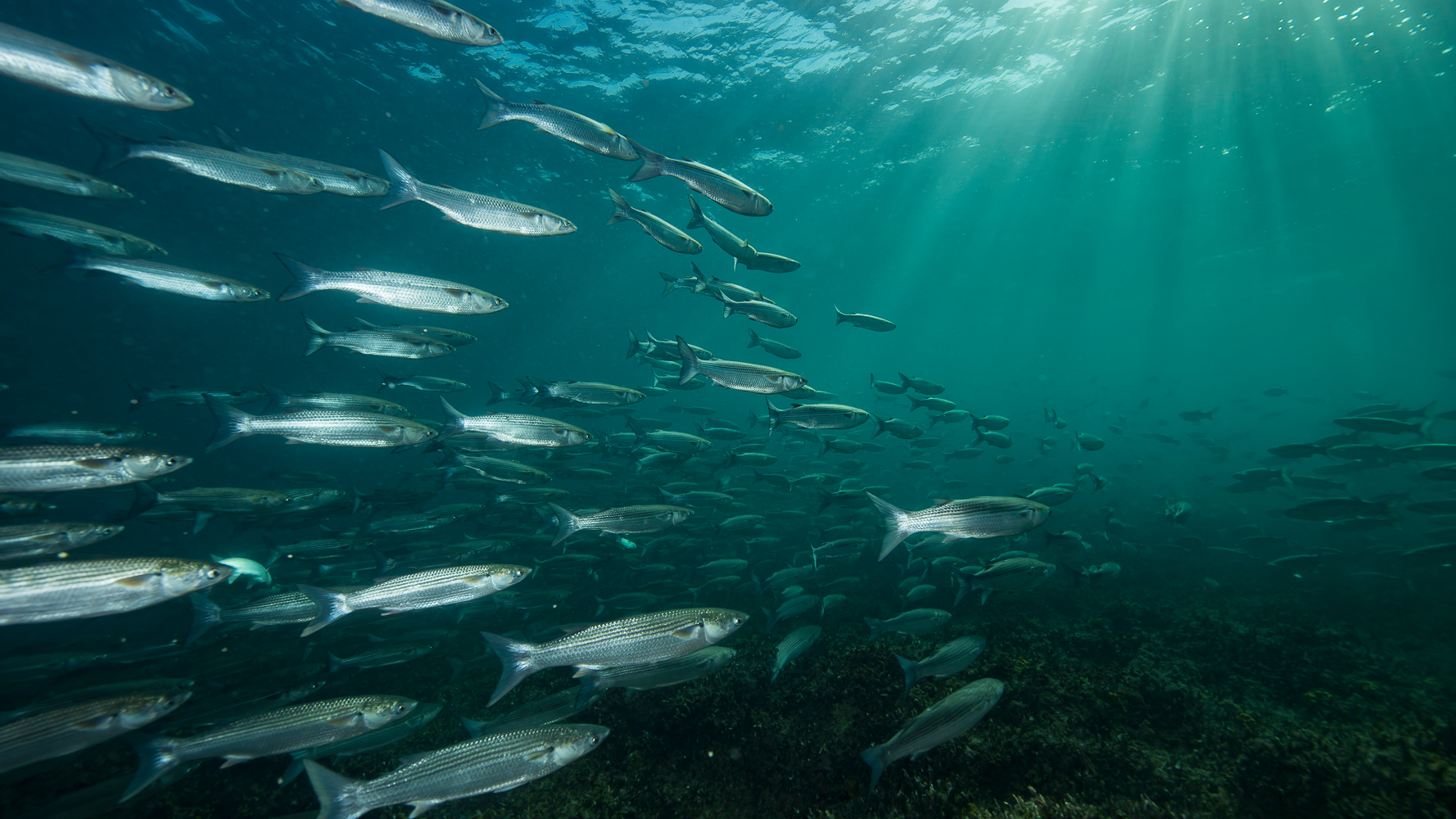 Torre-Guaceto_photo_Giuseppe_Affinito 